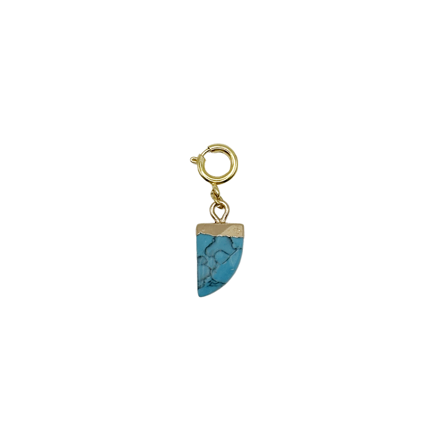 Charm Pierre Turquoise
