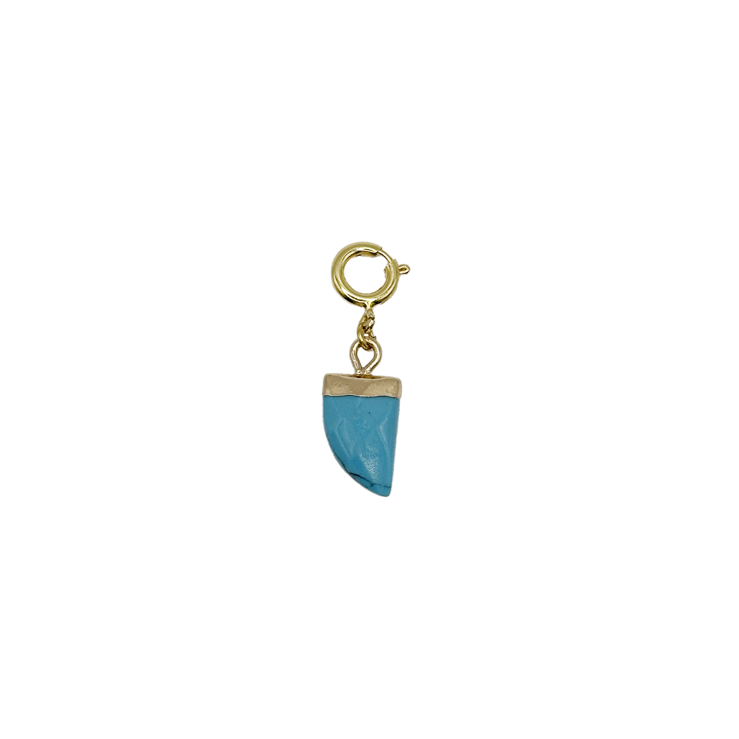 Charm Pierre Turquoise Dos